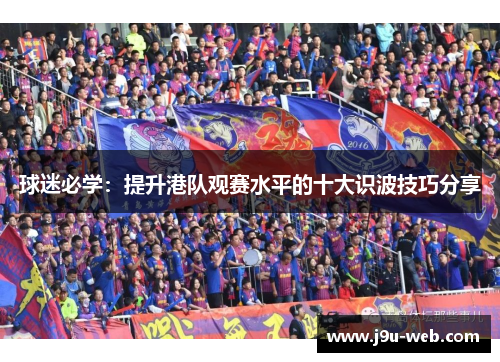 球迷必学：提升港队观赛水平的十大识波技巧分享